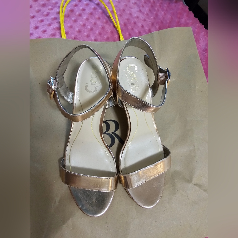 Circus Golden Sandals 👡